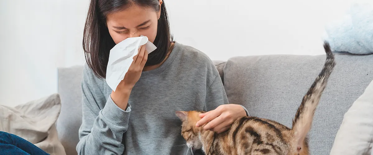 Gyakori allergiák: ismerje meg az allergia különböző típusait és a tüneteket!