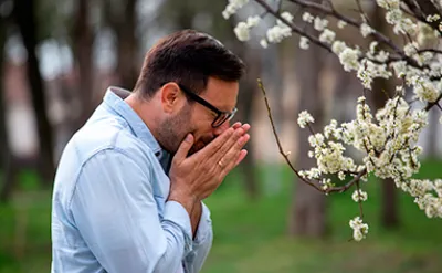 Minden, amit tudnia kell a szénanátháról.¹