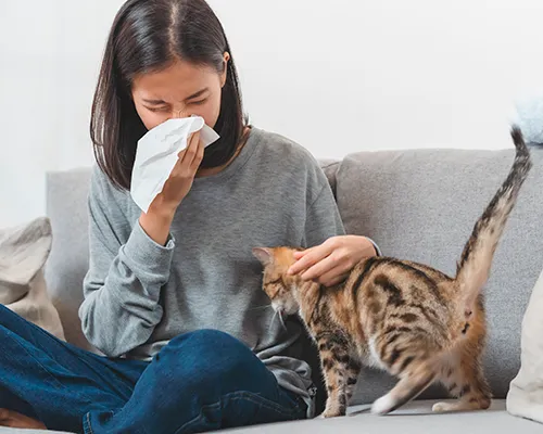 Gyakori allergiák: ismerje meg az allergia különböző típusait és a tüneteket!