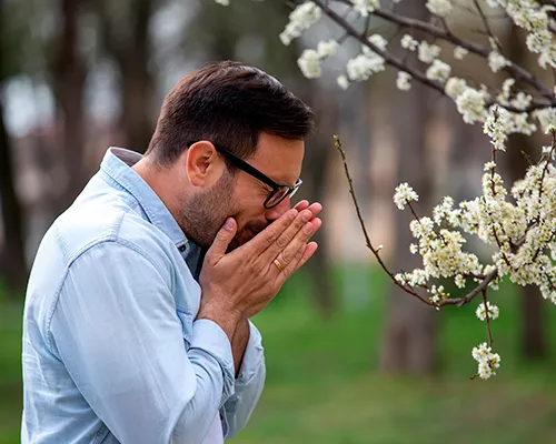 Minden, amit tudnia kell a szénanátháról.¹